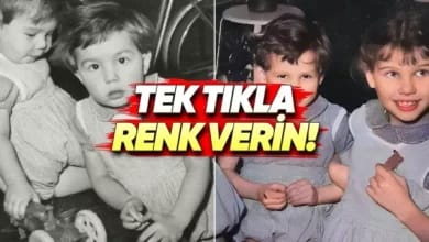 En İyi Yapay Zekâ İle Görsel Renklendirme Uygulamaları