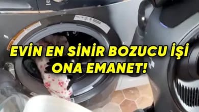 Çamaşır Yıkayabilen İnsansı Robot: Figure 02!