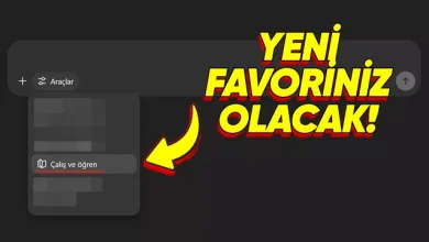 ChatGPT "Çalış ve Öğren" Modu Ne İşe Yarıyor? Nasıl Kullanılır?