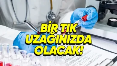Birkaç Damla Kanla Biyolojik Yaşınızı Söyleyebilen Yapay Zekâ Geliştirildi