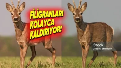 Google Gemini, Görsellerden Filigranları Kaldırabiliyor! 18 Google Gemini, Görsellerden Filigranları Kaldırabiliyor!