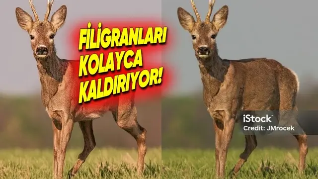 Google Gemini, Görsellerden Filigranları Kaldırabiliyor! 1 Google Gemini, Görsellerden Filigranları Kaldırabiliyor!