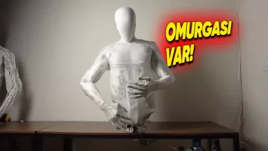 Omurgalı İnsansı Robot Torso 2'den Tüylerinizi Ürpertecek Video