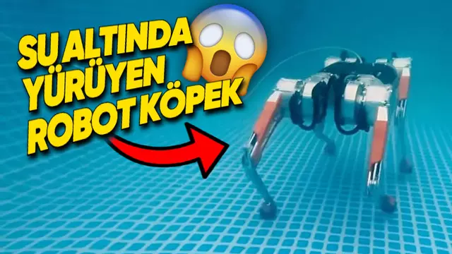 Su Altında Yürüyebilen Robot Köpek [Video]