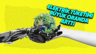 Google, Yapay Zekânın Çevresel Etkilerini Açıkladı