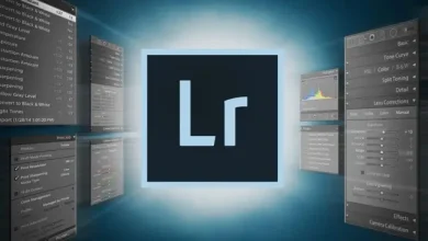 Adobe Lightroom Yapay Zekâ Nesne Silme Özelliğine Kavuştu
