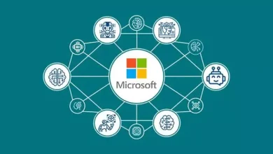 Microsoft, Yapay Zekâ Erişim İlkeleri Oluşturdu