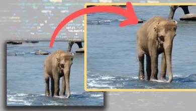 Adobe'dan Video ve GIF'leri Kaliteli Hâle Getirecek Vasıta 8 Adobe'dan Video ve GIF'leri Kaliteli Hâle Getirecek Araç