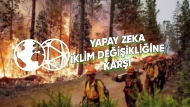 Hükümetler Doğal Afetlere Karşı Yapay Zekâyı Kullanıyor