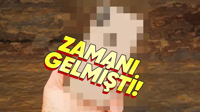 Apple Bir iPhone Modelini Daha "Külüstür" İlan Etti