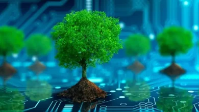 Yapay Zekânın Çevreye Verdiği Zarar Göz Ardı Ediliyor