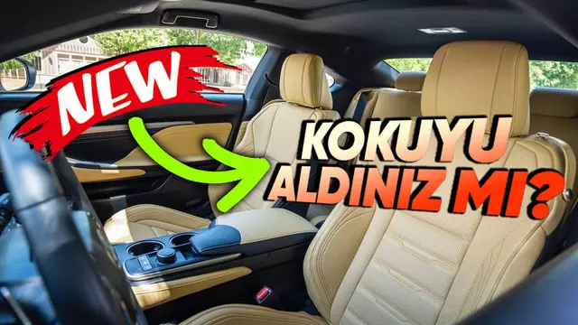 Yeni Araba Kokusu Gerçekten de Var mı?