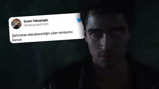 Netflix Dizisi Şahmaran’a Gelen Tepkiler