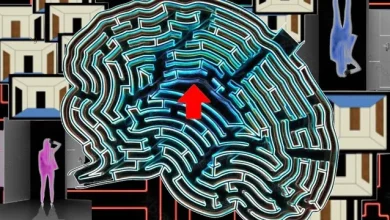 Bir Yapay Zeka Sayesinde Yön Bulmak Kolaylaşacak