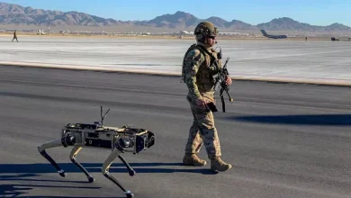 ABD Sınırında Robot Köpekler Devriye Gezecek