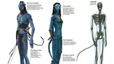 Avatar Filmi Aslında Bilimle Ters Düşüyor: Peki Neden?