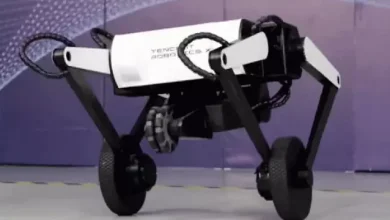 Atlayıp Zıplayabilen Robot Köpek: Karşınızda Ollie [Video]