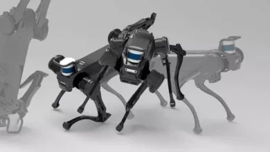 Düştüğünde Kendi Kendine Kalkabilen Robot Köpek Geliştirildi