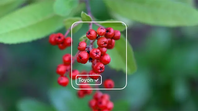 Microsoft'tan Yapay Zekâ Modeli Geliştirme Uygulaması