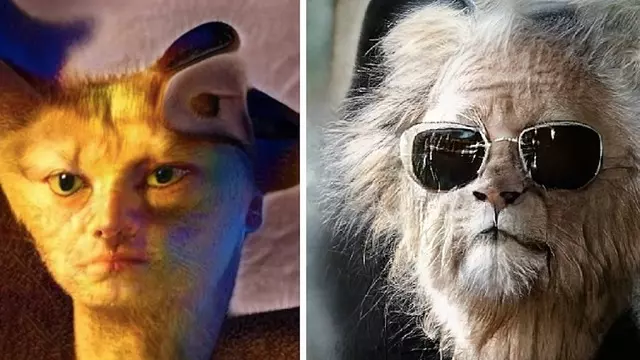 İnsan-Hayvan Yüzleri Arasında Dönüşüm Yapabilen Yapay Zeka