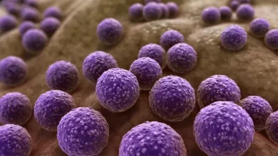 Bilim İnsanları, Yapay Zekâyla Yeni Bir Antibiyotik Keşfetti