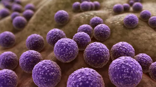 Bilim İnsanları, Suni Zekâyla Yeni Bir Antibiyotik Keşfetti 1 Bilim İnsanları, Yapay Zekâyla Yeni Bir Antibiyotik Keşfetti