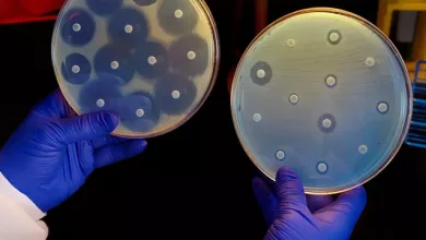 Makine Öğrenme Kullanılarak Bir Antibiyotik Geliştirildi