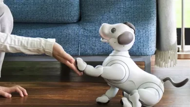 Akıllı Robot Aibo Evin Her Köşesinde Var Olmaya Hazırlanıyor