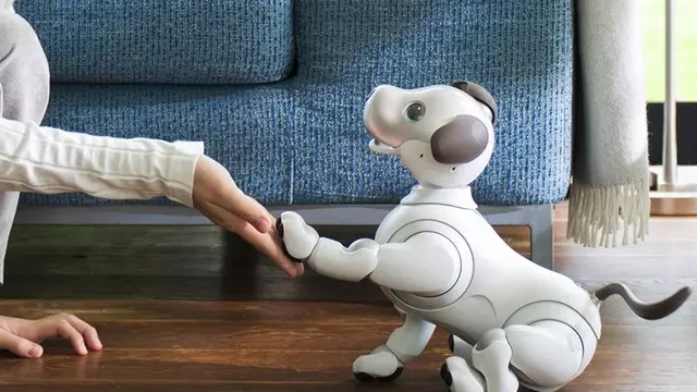 Akıllı Robot Aibo Evin Her Köşesinde Var Olmaya Hazırlanıyor 1 Akıllı Robot Aibo Evin Her Köşesinde Var Olmaya Hazırlanıyor