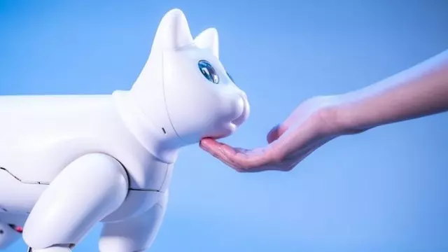 Dünyanın İlk Biyonik Kedisi İle Tanışın: MarsCat