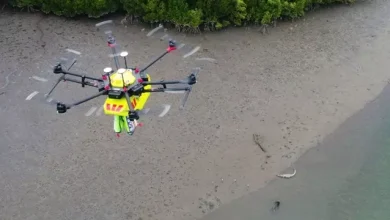 Timsahları İnsan Bakış açısından Daha İyi Tespit Edebilen Drone 15 Timsahları İnsan Gözünden Daha İyi Tespit Edebilen Drone