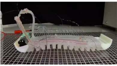 Canlı Gibi Davranan Robotlar Yakında Gerçek Olacak