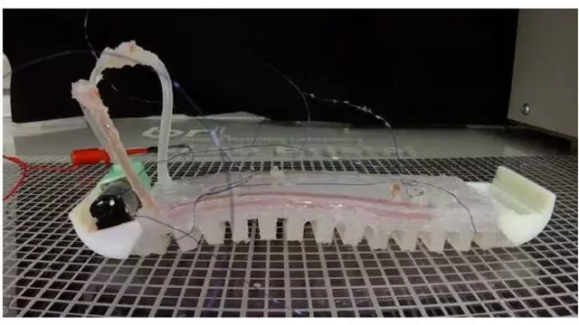 Canlı Gibi Davranan Robotlar Yakında Gerçek Olacak