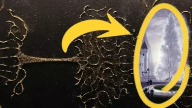 Yüzüklerin Efendisi: Güç Yüzükleri Introsundaki Detaylar