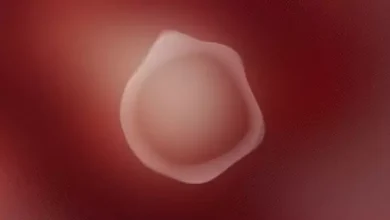 Sesli Asistan Q, Ayrımcılıkla Mücadelenin Sembolü Oldu