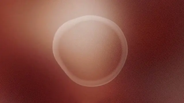 Dünyanın İlk Cinsiyetsiz Yapay Zeka Sesi (Video)