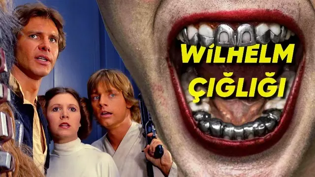 Kulaklarınız Bu Çığlığı Defalarca Kez Duydu, Fark Etmediniz!