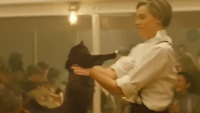 Titanik Filmine Yıllar Sonra Yapılan Montaj: Hem de Bir Kedi