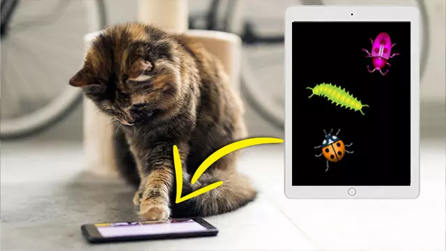 Kediler İçin En İyi Mobil Oyunları Derledik 1 Kediler İçin En İyi Mobil Oyunları Derledik