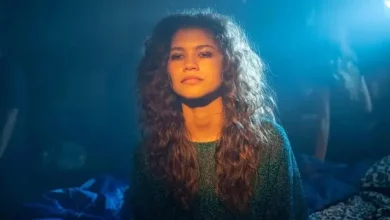 Euphoria Üçüncü Sezon Onayı Aldı