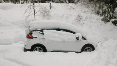 Elektrikli Otomobiller Soğuklar Yüzünden Adeta Donakaldı