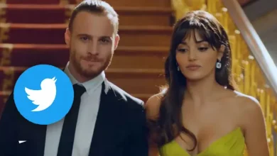 Sen Çal Kapımı Dizisi, Twitter'da Paylaşım Rekoru Kırdı