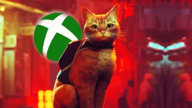 Popüler Kedi Simülatörü Stray, Nihayet Xbox'a da Geldi