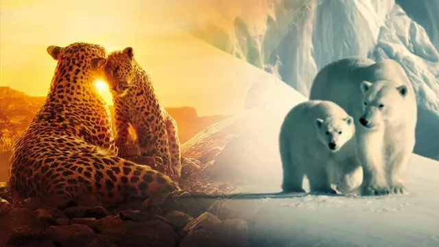 Netflix’in Ücretsiz Olarak Yayınladığı 10 Belgesel