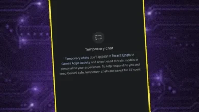 Google Gemini'a Geçici Sohbet Geldi!