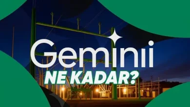 Google, Yapay Zekânın Ne Kadar Su Harcadığını Açıkladı