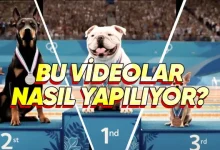 Veo 3'ün En Büyük Rakibi Hailuo 02 Sosyal Medyayı Kasıp Kavuruyor