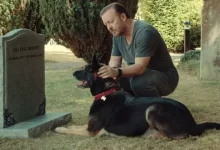 Netflix Dizisi After Life'a Benzer 10 Yapım