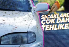 Kuş Pisliklerinin Aracın Boyasına Verdiği Zararlar