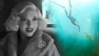 Bu Yıl Oscar'da Şov Yapan 16 Şahane Netflix Filmi